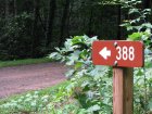 Wayah Road: Franklin to Nantahala-NC