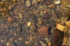 Nantahala River (Headwaters)