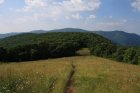 Siler Bald #2