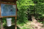 Bartram Trail: Wallace Branch to William's Pulpit- Franklin, NC