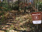 Yellow Mountain Trail and Tower